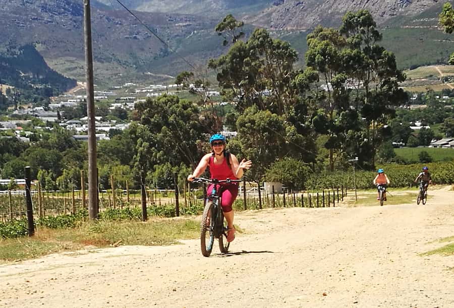 Franschhoek: E-bike Tour with Wine Tasting and Lunch - Wine tasting and lunch in Franschhoek