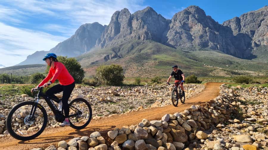 Franschhoek: E-bike Tour with Wine Tasting and Lunch - Is this Stellenbosch to Franschhoek e-bike tour worth booking?
