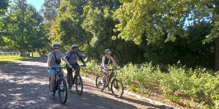 Franschhoek E-Bike & Wine Tour - Key points to know before you book