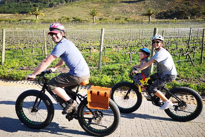 Franschhoek E-Bike Wine Tour (Half Day) - Key points at a glance