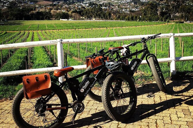 Franschhoek E-Bike Wine Tour (Half Day) - The guide can shape the whole morning or afternoon