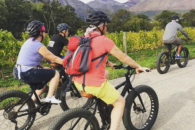Franschhoek E-Bike Wine Tour (Half Day) - Why the electric bike is worth having