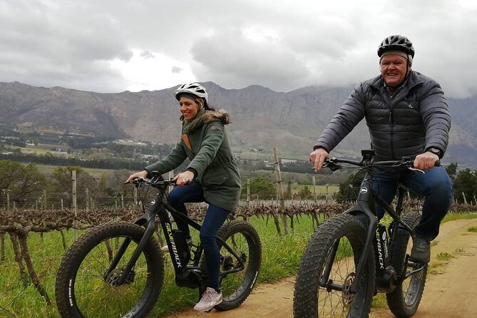 Franschhoek E-Bike Wine Tour (Half Day) - What the strongest feedback tells you