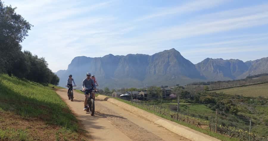 Franschhoek: E-Bike & Wine Tour (Shared Tour) - Should you book the Franschhoek e-bike wine tour?