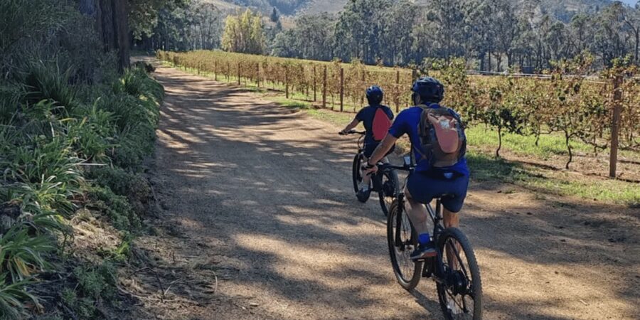 Franschhoek: E-Bike & Wine Tour (Shared Tour) - Why Tim and Max matter on this ride
