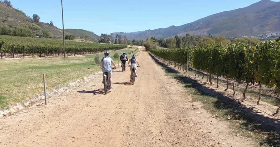Franschhoek: E-Bike & Wine Tour (Shared Tour) - Who will enjoy this experience most