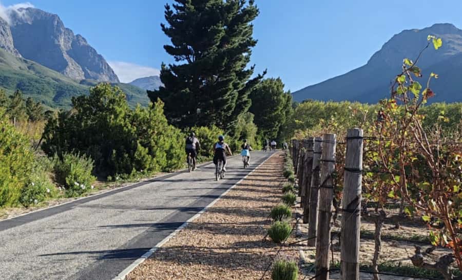 Franschhoek: E-Bike & Wine Tour (Shared Tour) - Riding through the historic Franschhoek valley