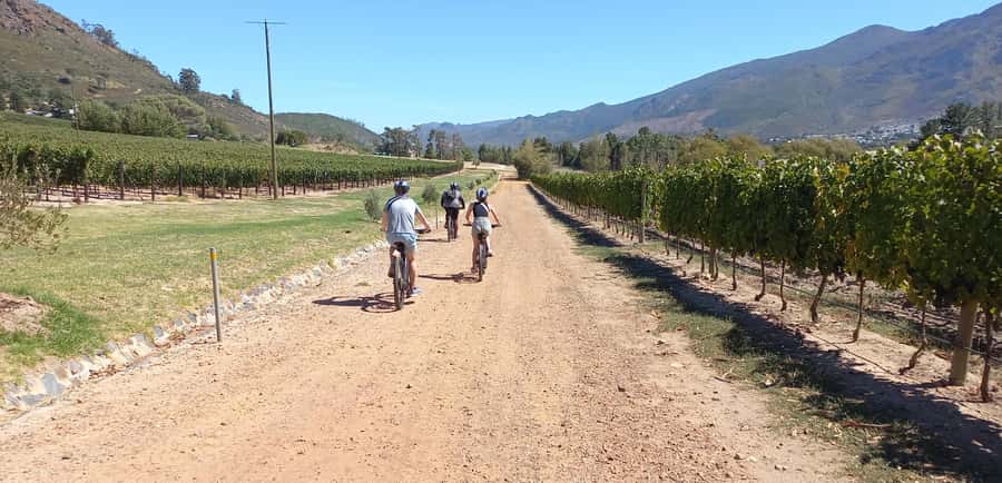 Franschhoek E-Bike & Wine Tour - Old Road Wine Co. is a practical starting point
