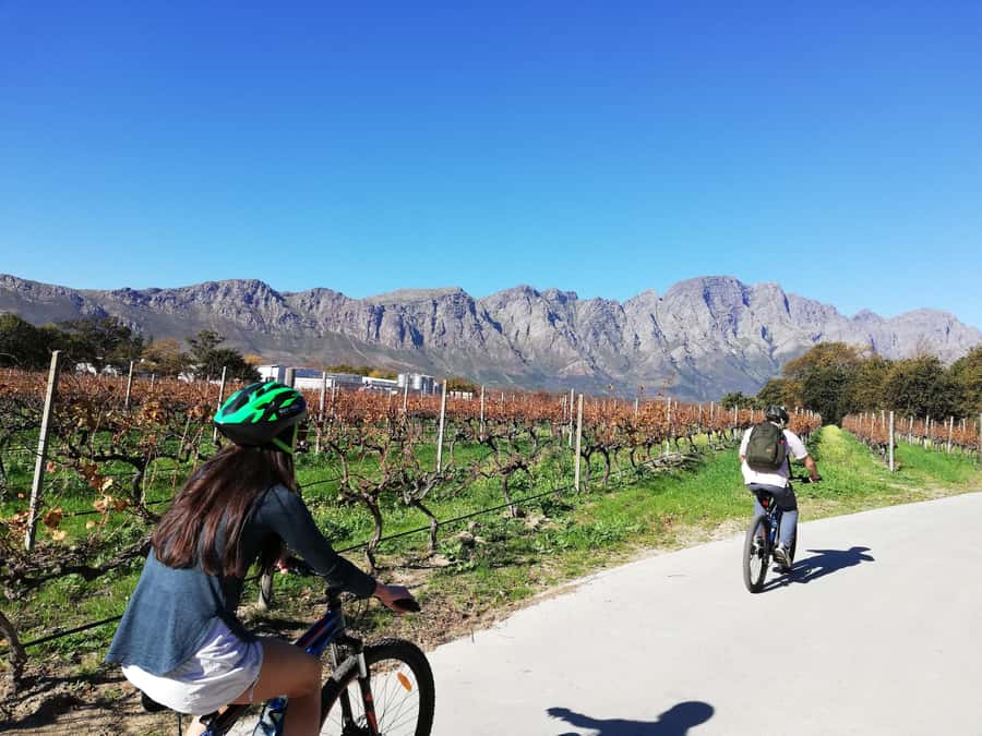 Franschhoek: Private E-bike Ride & Wine Experience - La Bri and the wine-pairing finale