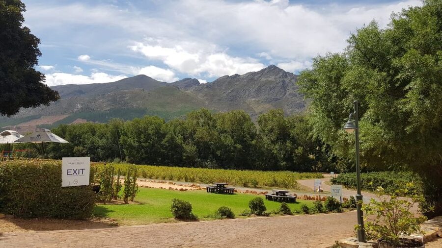 Franschhoek & Stellenbosch: Full-Day Wine Tour - Why this is more than a standard wine tasting