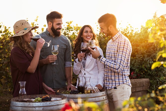 Franschhoek wine Tram & Stellenbosch Town Full day tour - Tokara brings modern design and broad mountain views