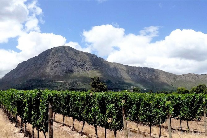 Franschhoek Winelands Luxury EBike Tour - Key points at a glance