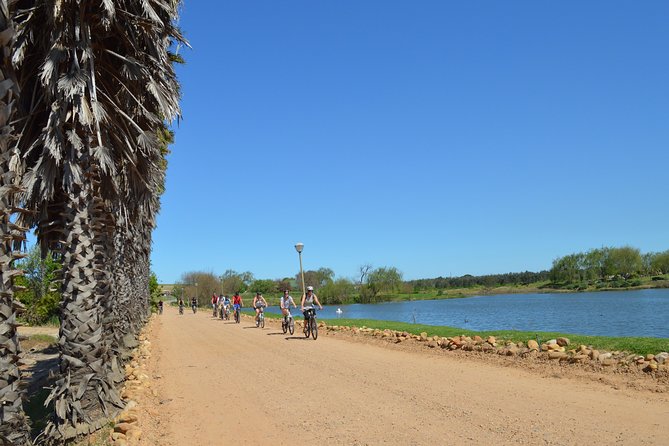 Franschhoek Winelands Luxury EBike Tour - Why cycling works so well in Franschhoek