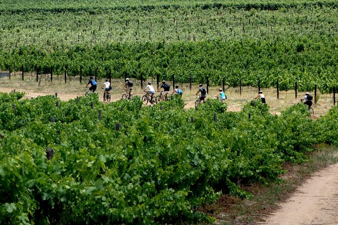 Franschhoek Winelands Luxury EBike Tour - La Bri, a quieter hour among the vines