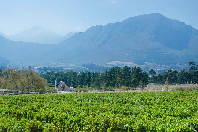 Franschhoek Winelands Luxury EBike Tour - Grande Provence and the broad valley views