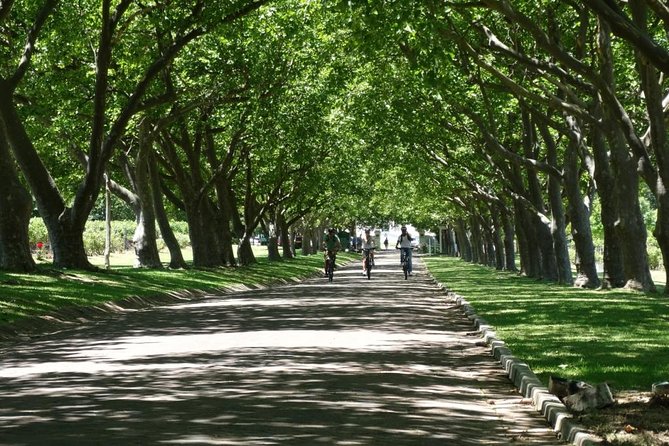 Franschhoek Winelands Luxury EBike Tour - Starting at Rickety Bridge at 10 am