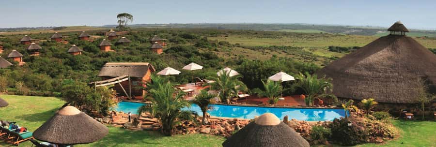From Cape Town: 2-Day Safari at Garden Route Game Lodge - Key points to know before booking