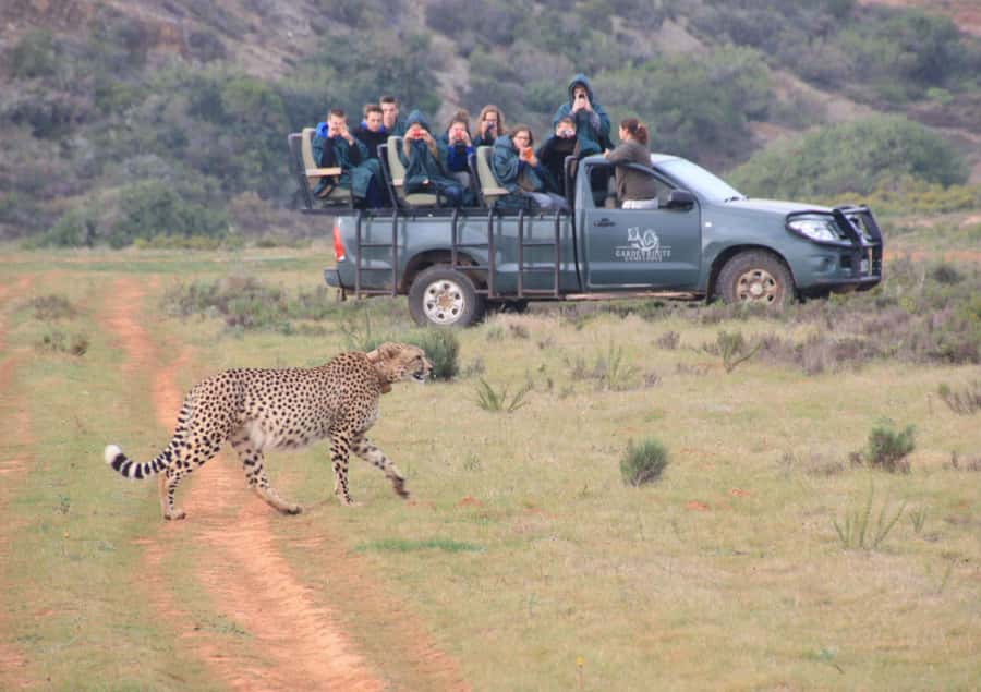 From Cape Town: 2-Day Safari at Garden Route Game Lodge - The road from Cape Town to Hermanus