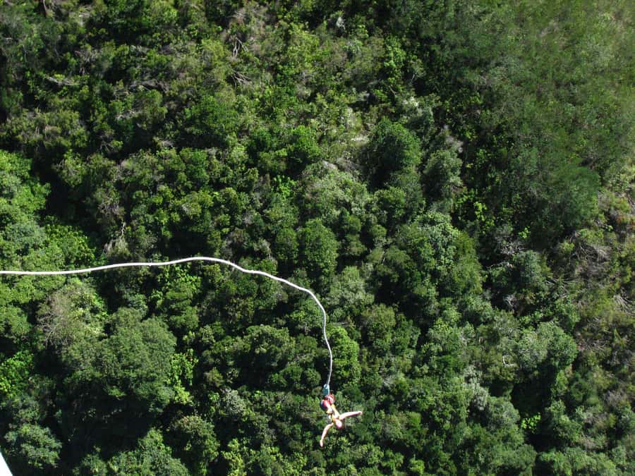 From Cape Town: 3-Day Garden Route Highlights and 4x4 Safari - Small groups and guide quality matter here