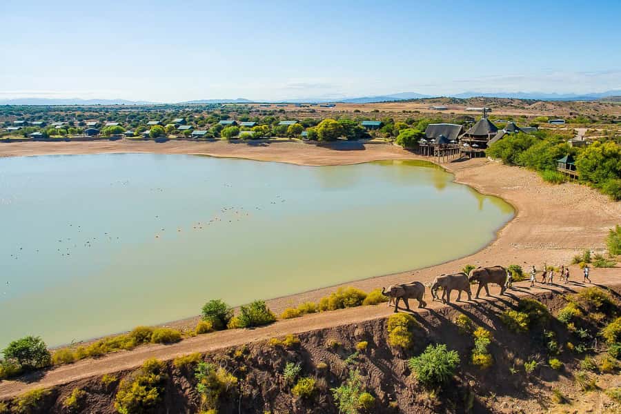 From Cape Town: 3-Day Garden Route Highlights and 4x4 Safari - Day two moves from the Klein Karoo to Wilderness