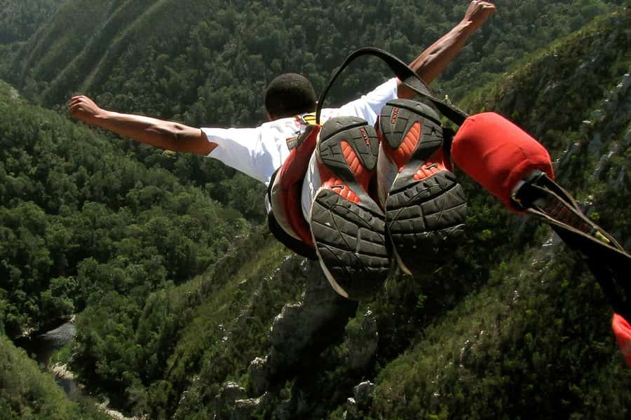 From Cape Town: 3-Day Garden Route Highlights and 4x4 Safari - The Botlierskop safari is the trip’s wildlife centerpiece