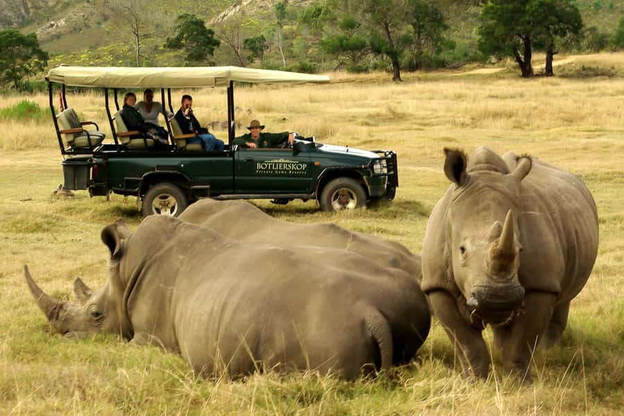 From Cape Town: 3-Day Garden Route Highlights and 4x4 Safari - Cango Caves: choose your level of adventure