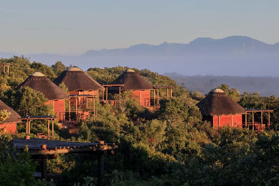 From Cape Town: 3-Day Garden Route Safari and Coastal Tour - Why this three-day route works