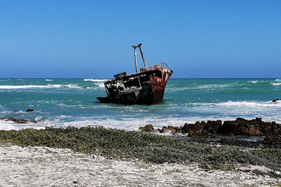 From Cape Town: 3-Day Garden Route Safari and Coastal Tour - A night at Garden Route Game Lodge