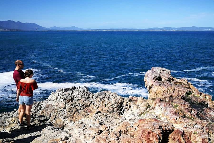 From Cape Town: 3-Day Garden Route Safari and Coastal Tour - Guides, comfort, and the pace of the road