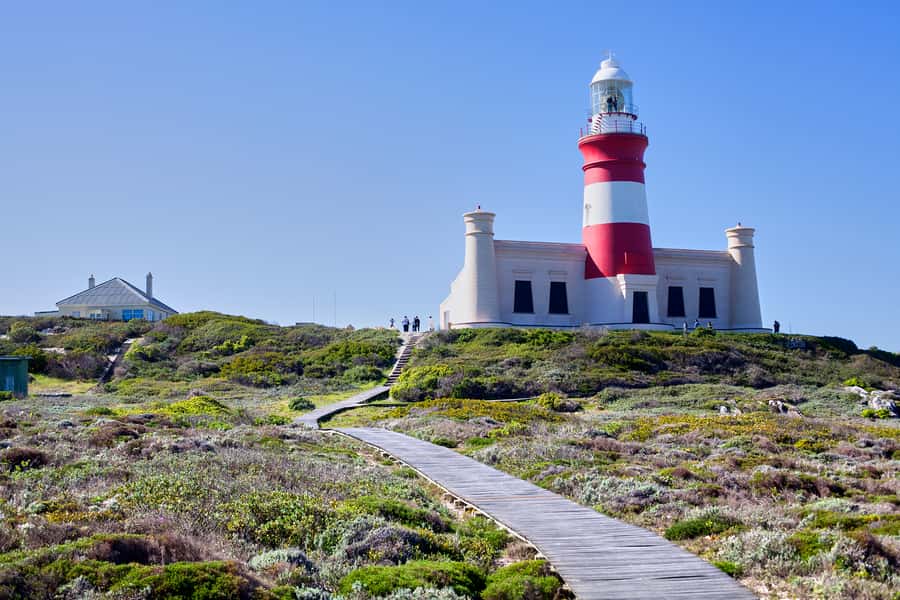 From Cape Town: 3-Day Garden Route Safari and Coastal Tour - Who should book this Garden Route trip