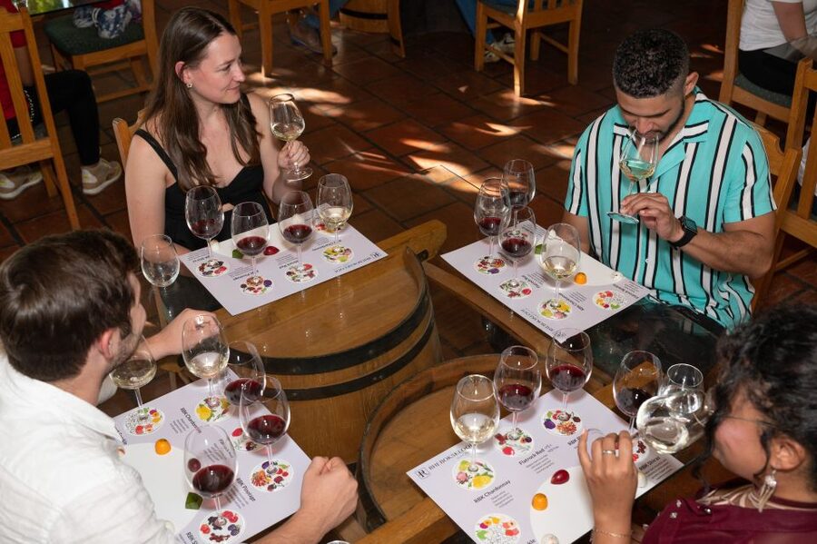 From Cape Town: 3 Regions Wine Tour with 3 Estates, 15 Wines - The guide can make or break the day