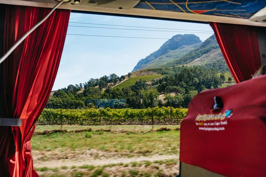 From Cape Town: 3 Regions Wine Tour with 3 Estates, 15 Wines - A 45-minute walk through Stellenbosch