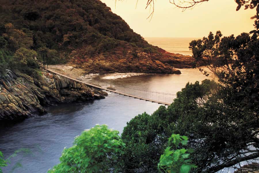 From Cape Town: 5-Day Best of Garden Route and Addo Safari - The route packs South Africa into five busy days