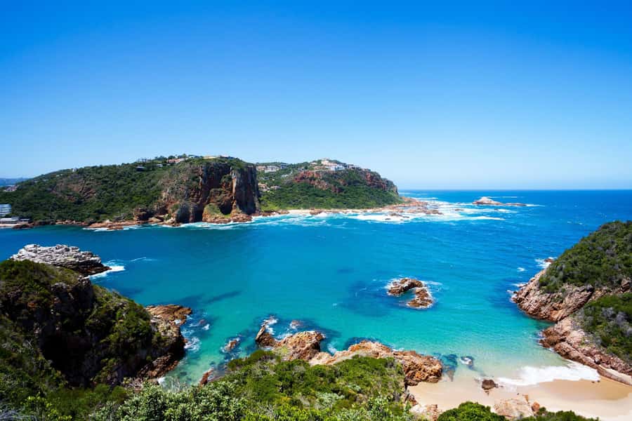From Cape Town: 5-Day Best of Garden Route and Addo Safari - Day 4: Tsitsikamma’s forest, bridges, and big thrills