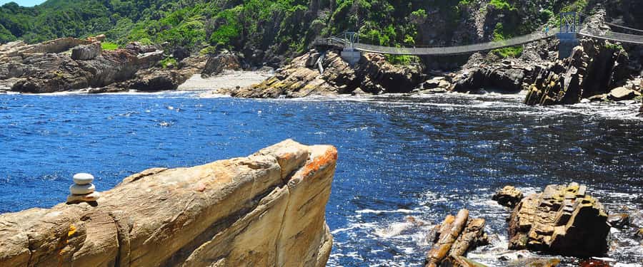 From Cape Town: 5-Day Best of Garden Route and Addo Safari - Day 5: A better safari vehicle at Botlierskop