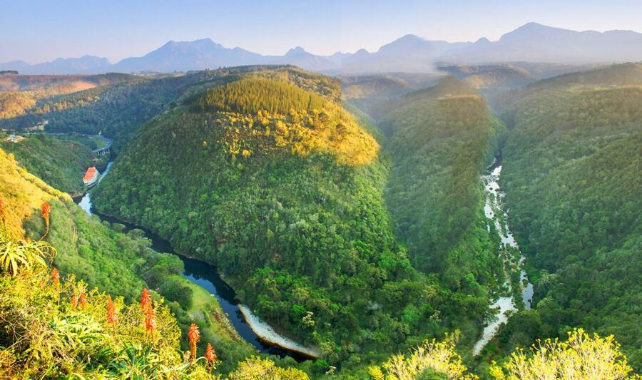 From Cape Town: 5-Day Best of Garden Route and Addo Safari - What to pack and how to pace yourself