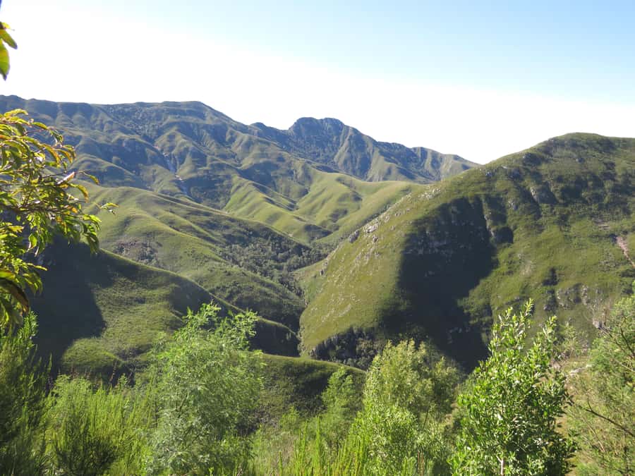 From Cape Town: 5-Day Garden Route & Addo Elephant Park Tour - Day five: Morning wildlife and the long return to Cape Town