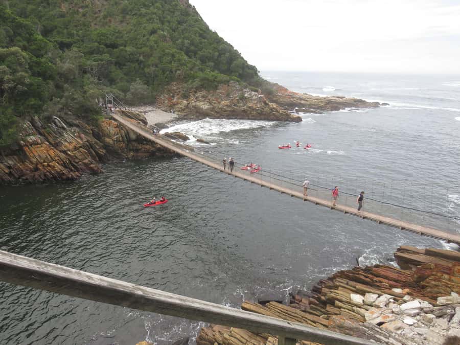 From Cape Town: 5-Day Garden Route & Addo Elephant Park Tour - Guides, group size, and the feel of the road