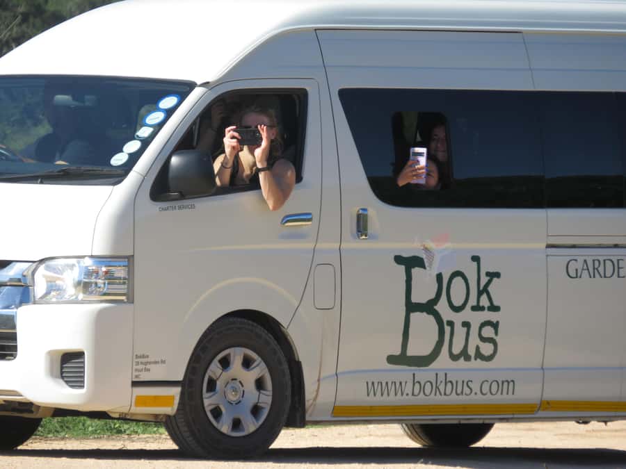 From Cape Town: 5-Day Garden Route & Addo Elephant Park Tour - Who will get the most from this tour?