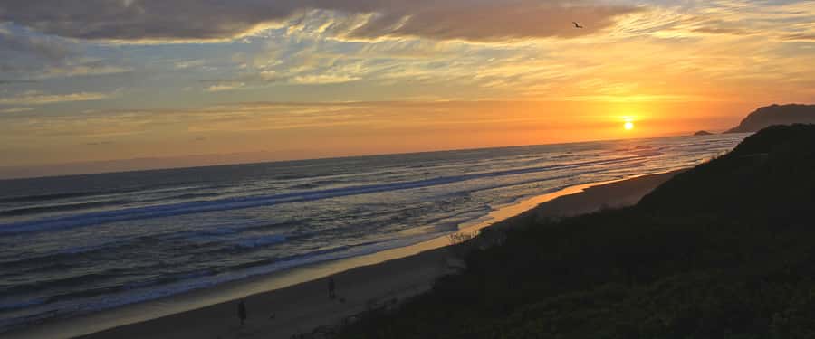 From Cape Town: 7-Day Garden Route, Addo and Winelands Combo - The highlights worth knowing before you book