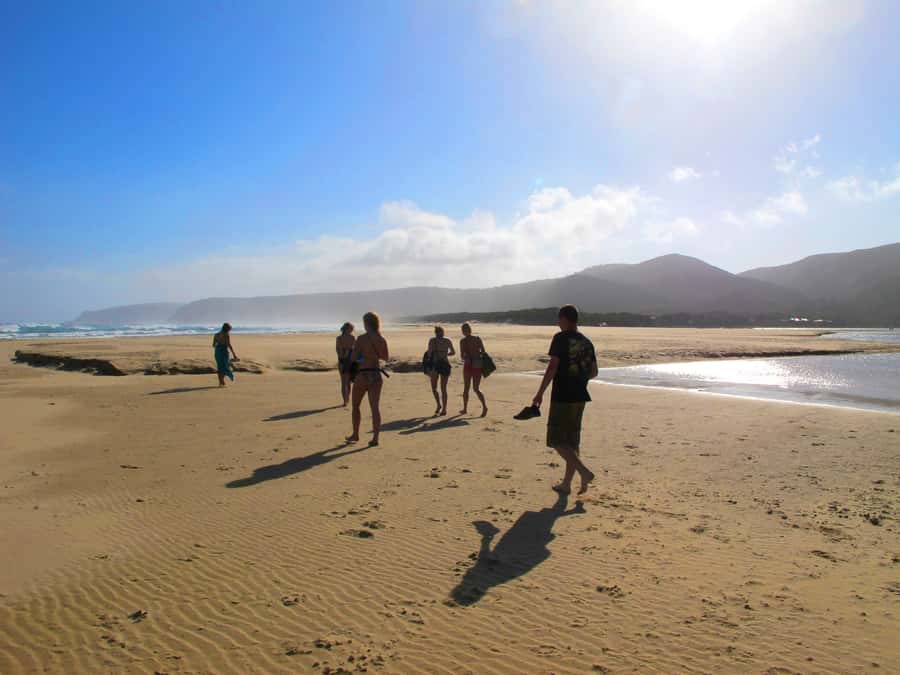 From Cape Town: 7-Day Garden Route, Addo and Winelands Combo - Day 6: Tsitsikamma, Bloukrans, and Knysna