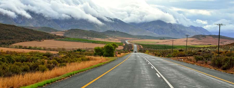 From Cape Town: 7-Day Garden Route, Addo and Winelands Combo - Days 1 and 2: Wine estates, Cape Point, and penguins