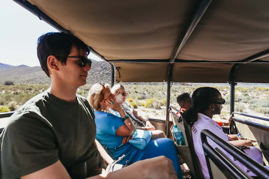 From Cape Town: Big Five Game Reserve with Lunch - Key points at a glance