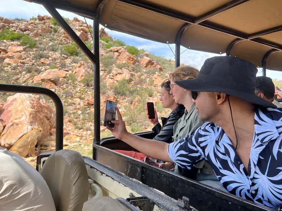 From Cape Town: Big Five Safari Experience with Lunch - Three hours on the game drive