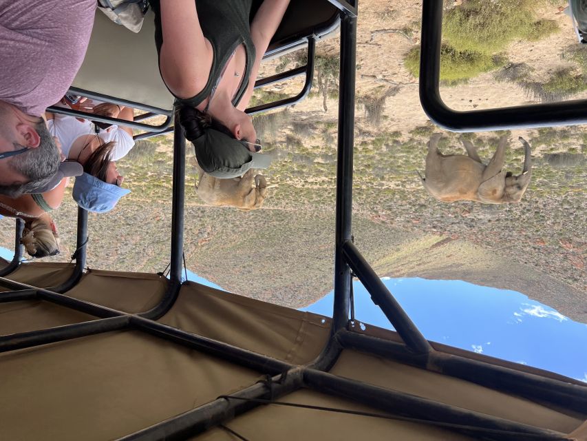 From Cape Town: Big Five Safari Experience with Lunch - The private reserve question