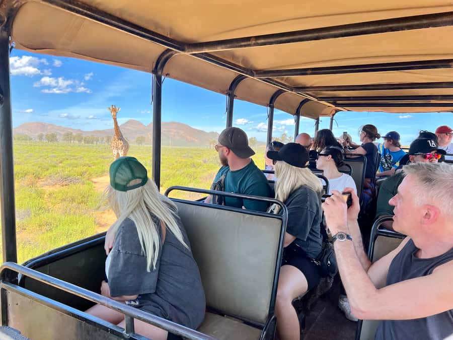 From Cape Town: Big Five Safari Experience with Lunch - Why the guide matters so much