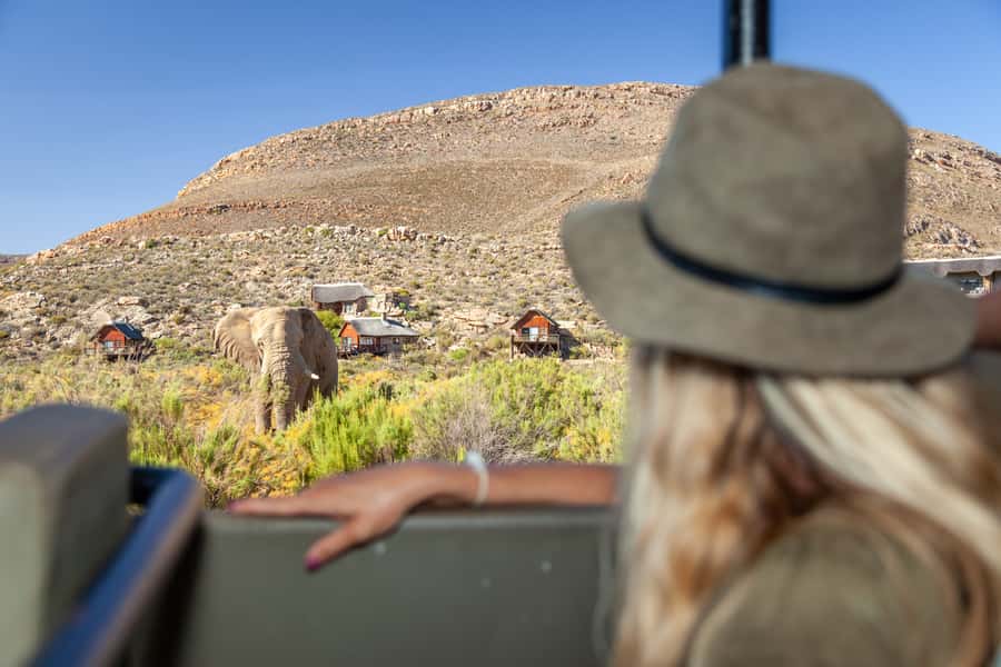 From Cape Town: Big Five Sunset Safari incl. Transportation - The 12:30 departure and the road into the Karoo