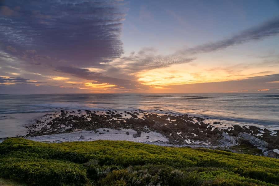 From Cape Town: Cape Agulhas, Penguins, Wine Tasting Tour - The return route through fynbos and mountain country