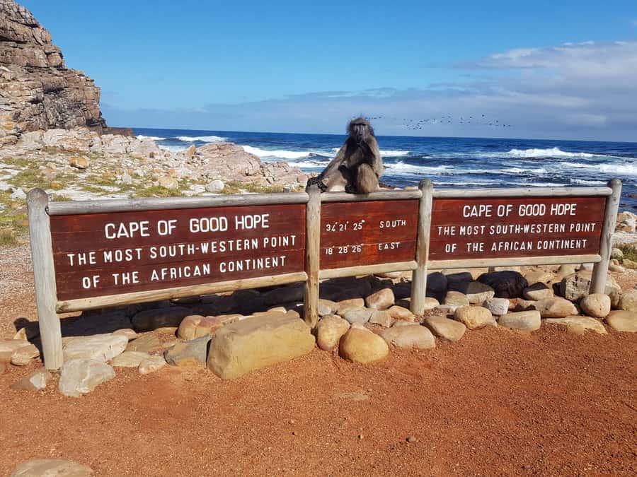 From Cape Town: Cape Point and Boulders Beach Full-Day Tour - Boulders Beach and the African penguins