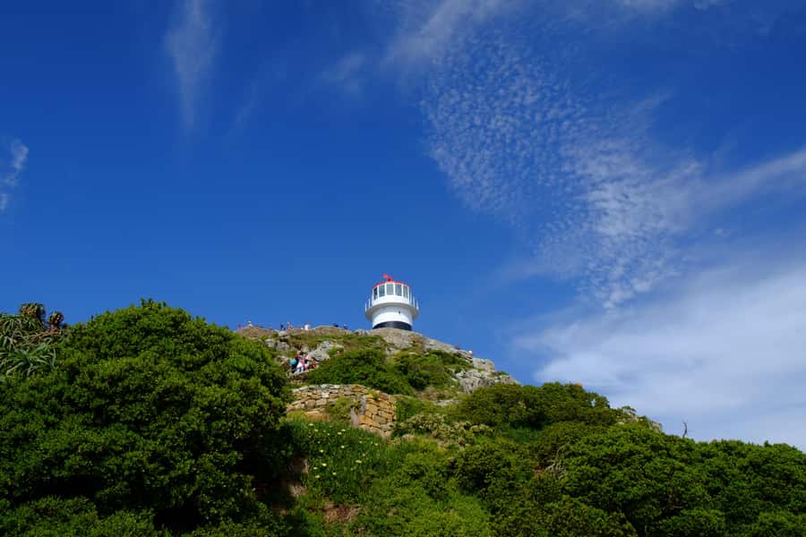 From Cape Town: Cape Point & Boulders Beach Full-Day Tour - What the $40 price really includes